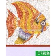 C7彩魚