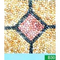 B30