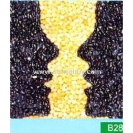 B28