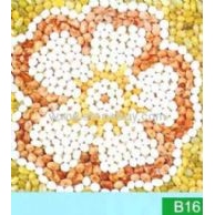 B16