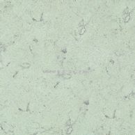 RM2050哥斯加綠