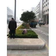 城市街道隔車帶