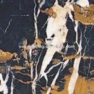 金网花(Black&amp;Gole)
