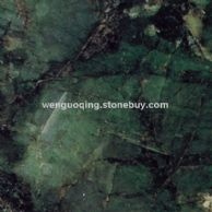 绿蝴蝶(Verde Butterfly)