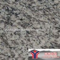 虎皮白