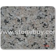 G563三堡红荔枝面