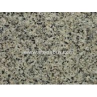 中国绿2号（中花）