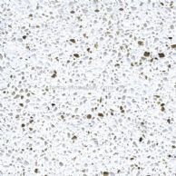 金銀花 FS-405