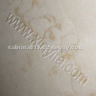 新品種－美國金花