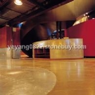 上海專業(yè)石材護(hù)理有限公司