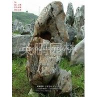 廣東英德太湖石,園林景觀石-自有大型石場直銷