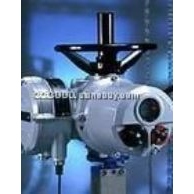 英國羅托克rotork電動執(zhí)行器