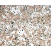 羅源紅664#（天津）