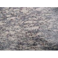 紫點(diǎn)藍(lán)鉆&nbsp;