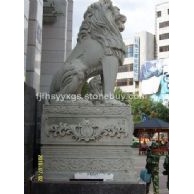 坐非洲獅