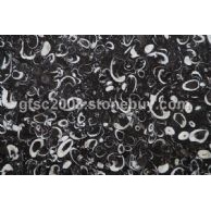 海贝花（海飞燕）