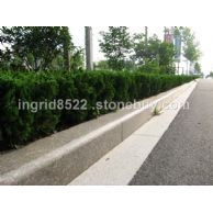 五莲红光面路沿石