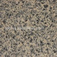 Leopard Skin 豹皮花