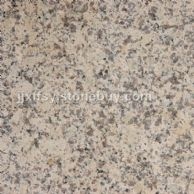 W.Y.Yellow 武夷黄