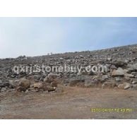 龜紋石、千層巖石