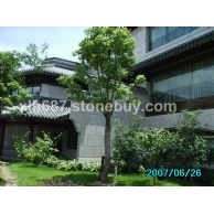 丁香紫G611工程