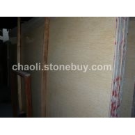 金线米黄1