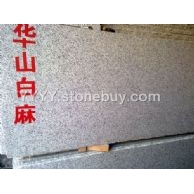 华山白麻（山东白麻）