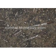 海底世界(Brown fossil)&nbsp;&nbsp;