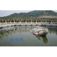 龜 龜蛇 放生池 陵園