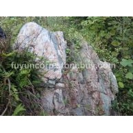 風(fēng)景石