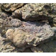 火山岩黄洞石