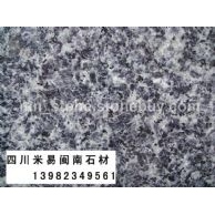 太平洋兰（太平洋蓝）大花