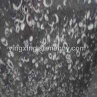 海贝花