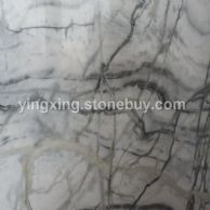 热带白雨林