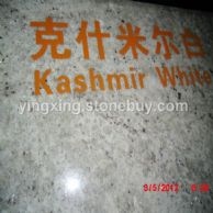 克什米尔白