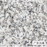 广东白麻