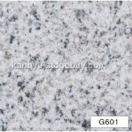 G601