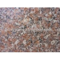 五莲红 光板 大花