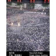 海贝花国家大剧院工程图