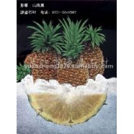 影雕