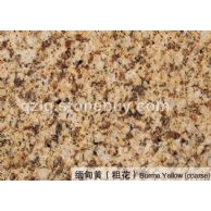 缅甸黄（粗花）