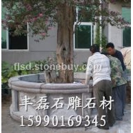 莒南青圆树池