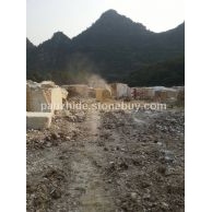 霸王花开采现场