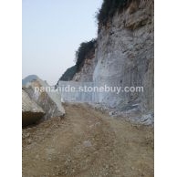 霸王花矿山实景