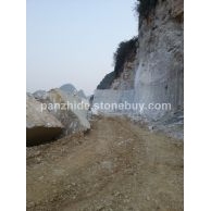 霸王花矿山实景