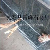 草原綠、森林綠、幻彩綠、萬年青