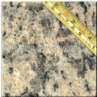 货号：New Giallo Cecilia