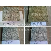 芭拉花 越南黄 G623 G655