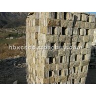 芝麻黄蘑菇100x200