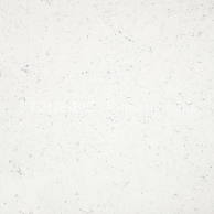 PX0190卡拉拉白